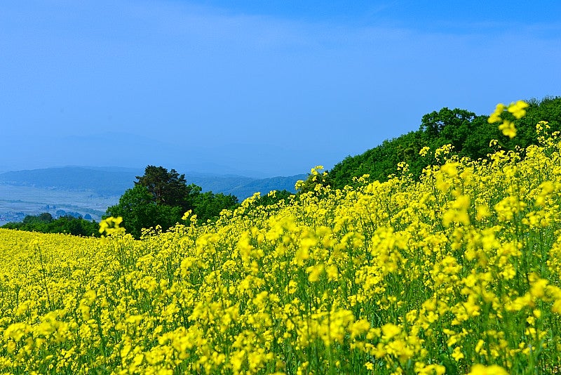 グリーフ(心の痛み)ケアの集い 「Grief(悲嘆) &Enrich(豊かにする)グループ」は、202Read more 